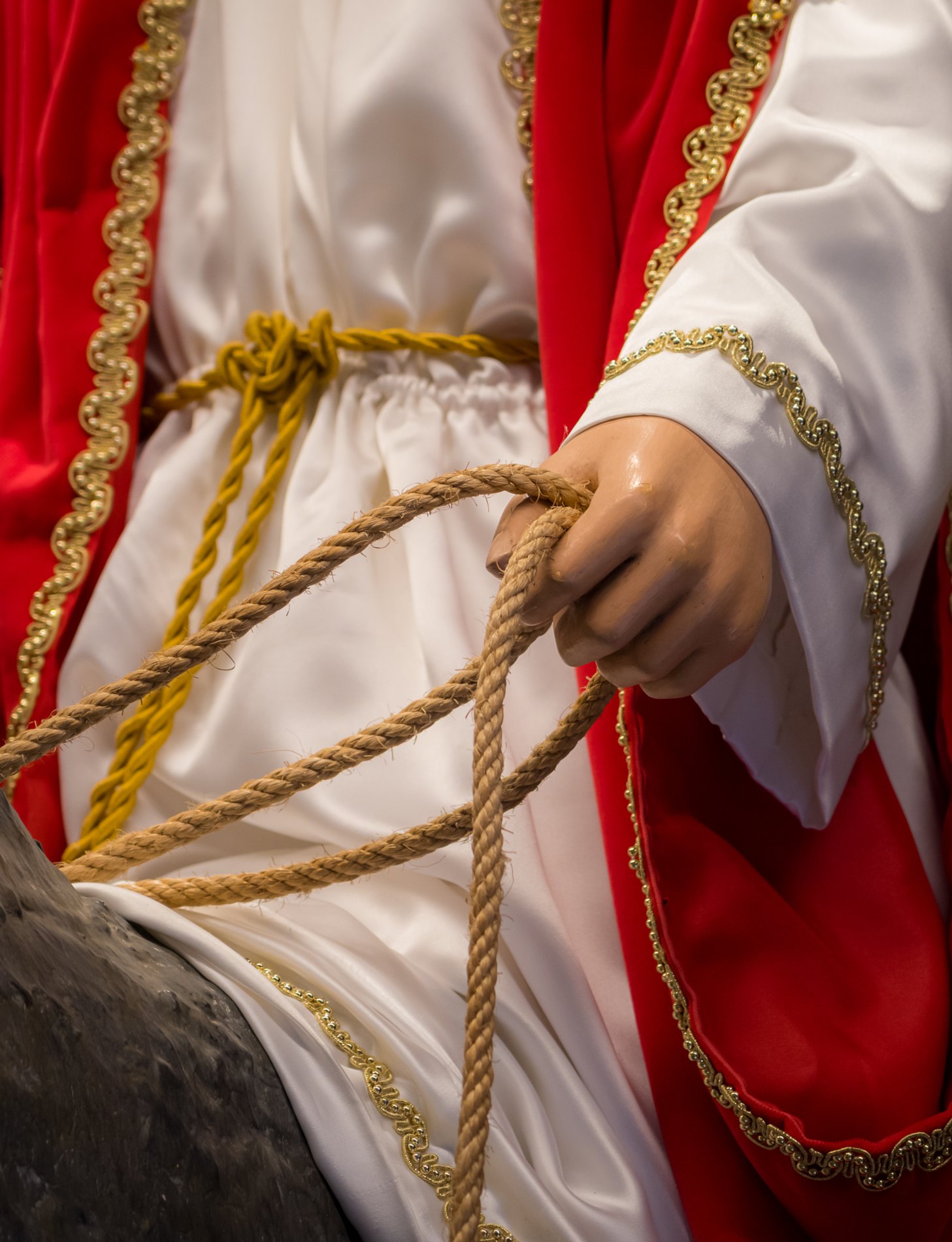 Jesús en la Borriquilla · fotografía 16