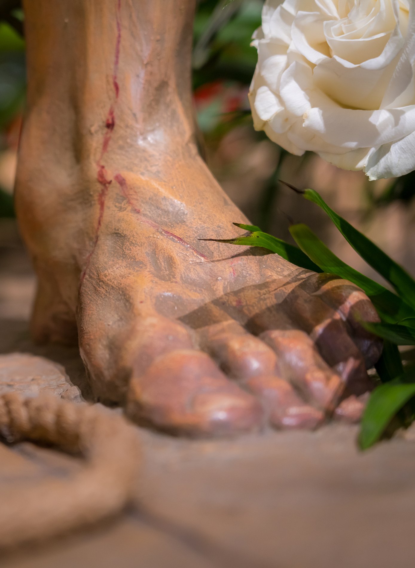 Nuestro Padre Jesús de la Salud · fotografía 164