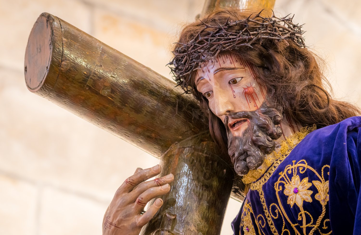 Jesús Nazareno Camino del Calvario · fotografía 209