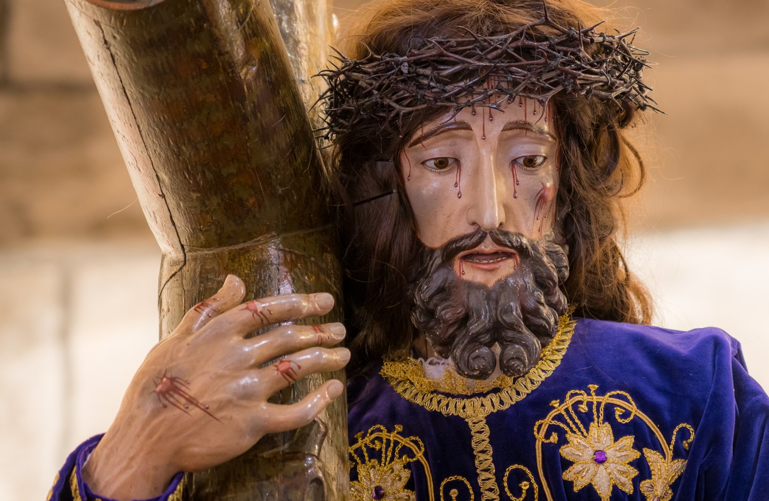 Jesús Nazareno Camino del Calvario · fotografía 213